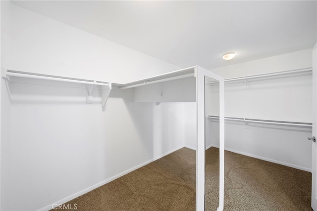 walk in closet featuring carpet flooring