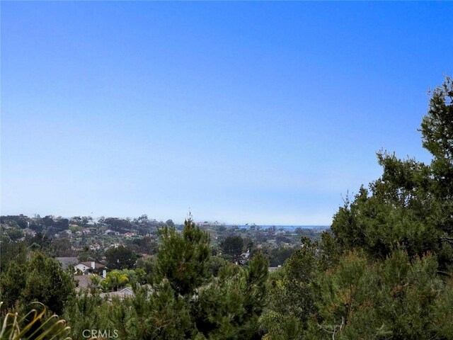 6312 Camino Marinero, San Clemente, CA 92673 - mountain view
