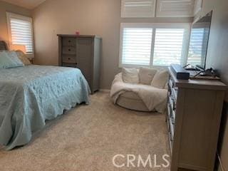 5530 Van Gogh Way, Yorba Linda, CA 92887 - bedroom with multiple windows and carpet flooring