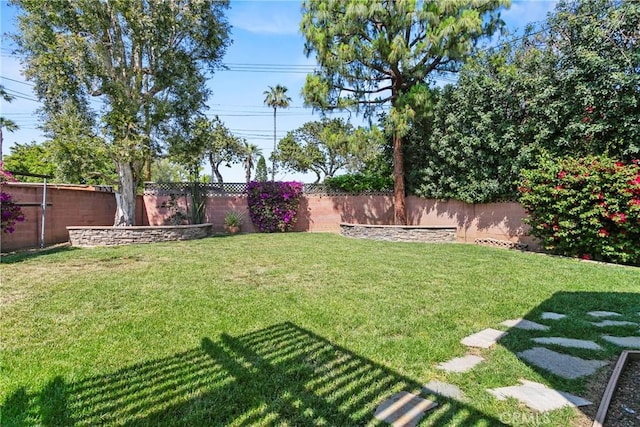 view of yard featuring a fenced backyard
