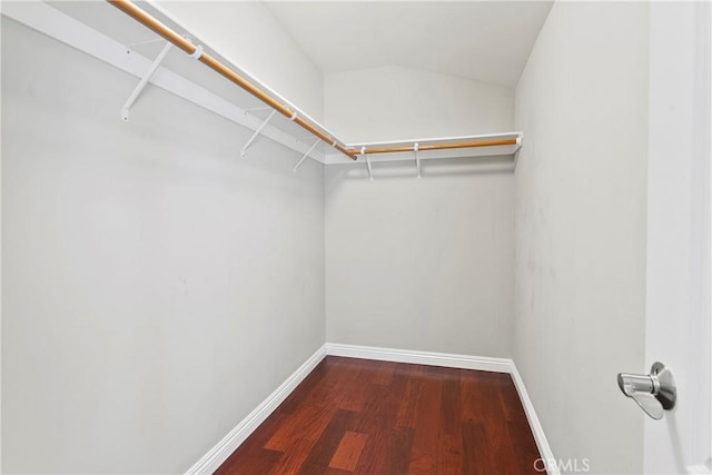 walk in closet with wood finished floors
