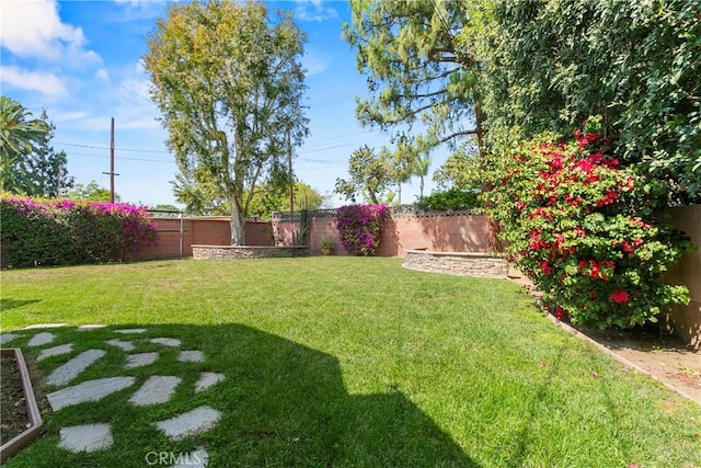 view of yard with a fenced backyard