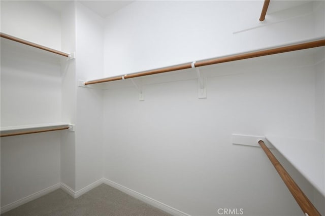 spacious closet with carpet flooring
