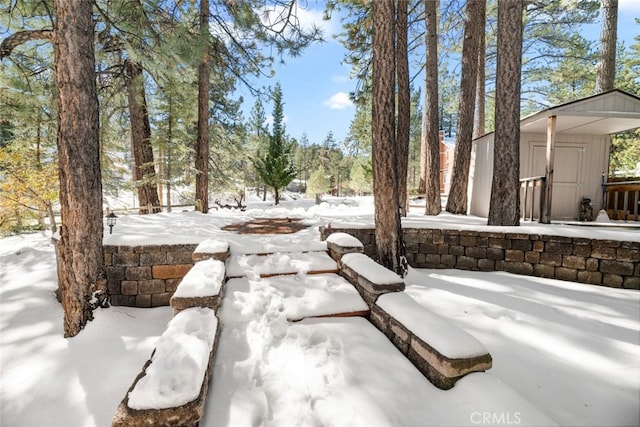 yard covered in snow with a storage shed and an outbuilding