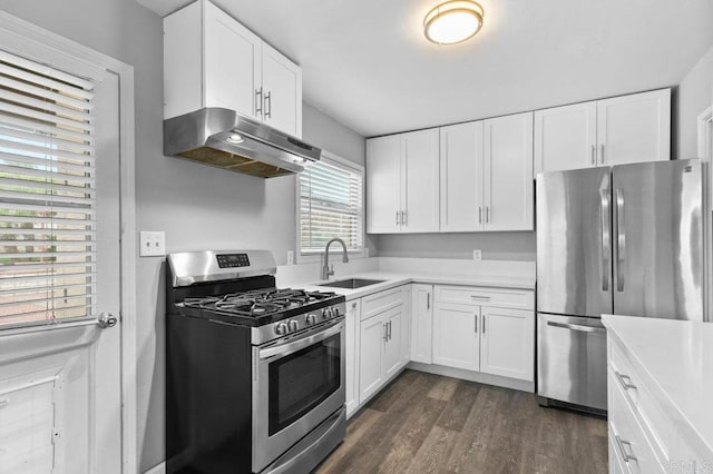 kitchen with under cabinet range hood, a sink, light countertops, appliances with stainless steel finishes, and dark wood-style floors