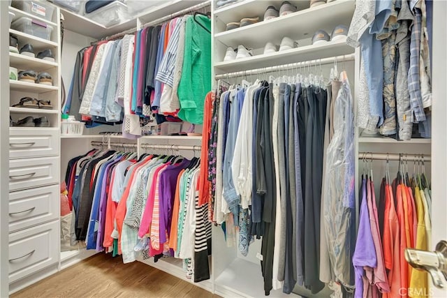 walk in closet with wood finished floors
