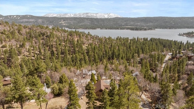 1285 Ridge Rd, Fawnskin, CA 92333 - photo 39
