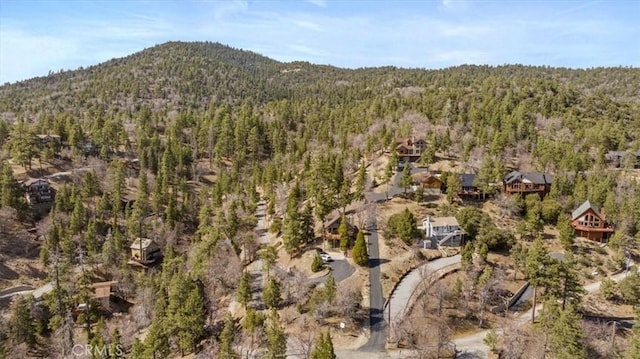1285 Ridge Rd, Fawnskin, CA 92333 - photo 38