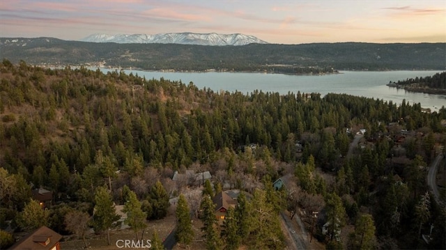 1285 Ridge Rd, Fawnskin, CA 92333 - photo 4