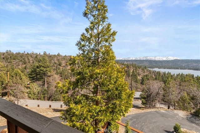 1285 Ridge Rd, Fawnskin, CA 92333 - photo 30
