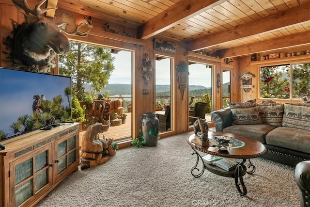 1285 Ridge Rd, Fawnskin, CA 92333 - photo 11