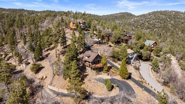 1285 Ridge Rd, Fawnskin, CA 92333 - photo 36