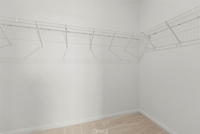 29079 Laramie Ct, Winchester, CA 92596 - walk in closet featuring light carpet