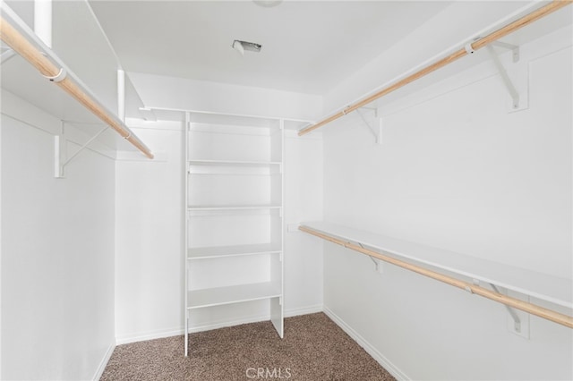 16925 Nanticoke Rd, Apple Valley, CA 92307 - walk in closet featuring carpet floors