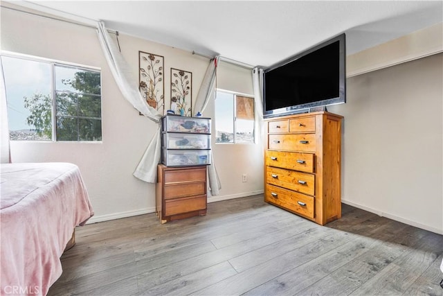 40481 Sage Rd, Hemet, CA 92544 - bedroom with baseboards, multiple windows, and wood finished floors