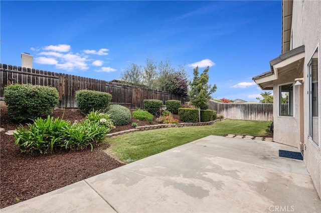 view of yard with a patio area and a fenced backyard
