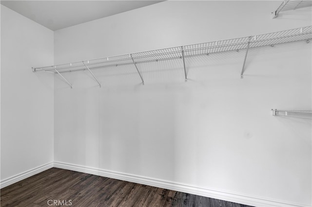 spacious closet with dark wood-style flooring