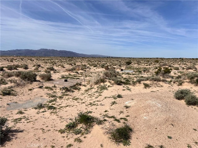 34998 Bon View Rd, Newberry Springs, CA 92365 - photo 1
