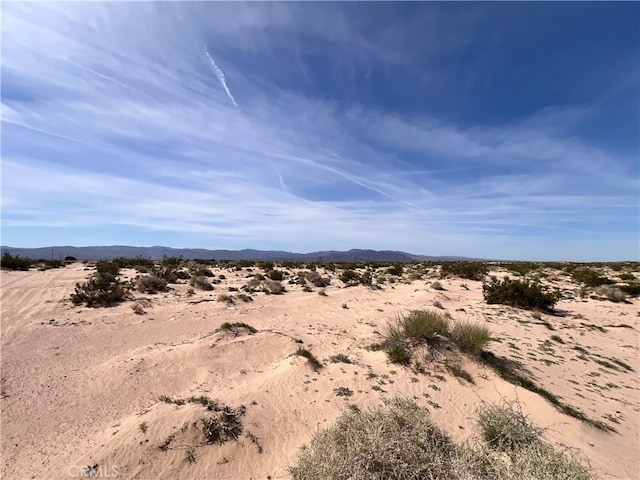 34998 Bon View Rd, Newberry Springs, CA 92365 - photo 8