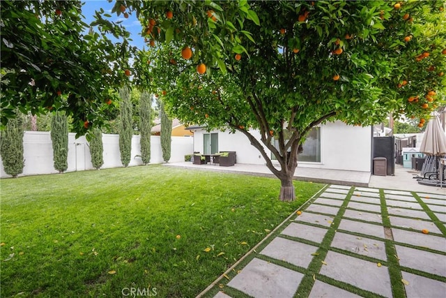 view of yard with a patio area and a fenced backyard