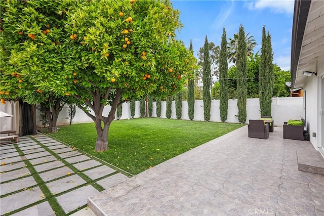 view of yard with a patio and a fenced backyard