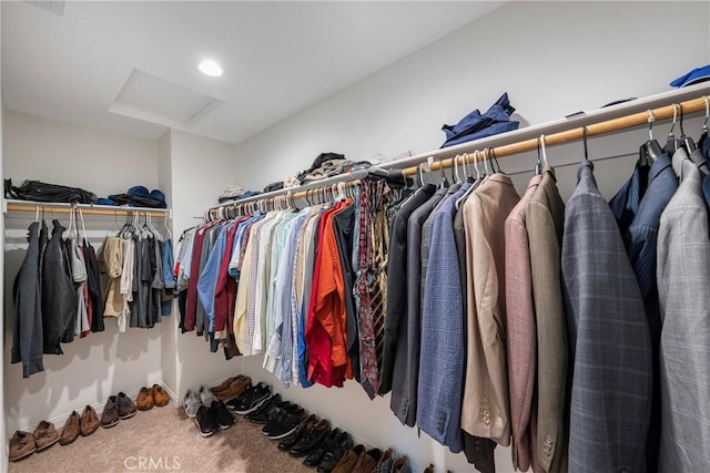 spacious closet featuring attic access and carpet floors