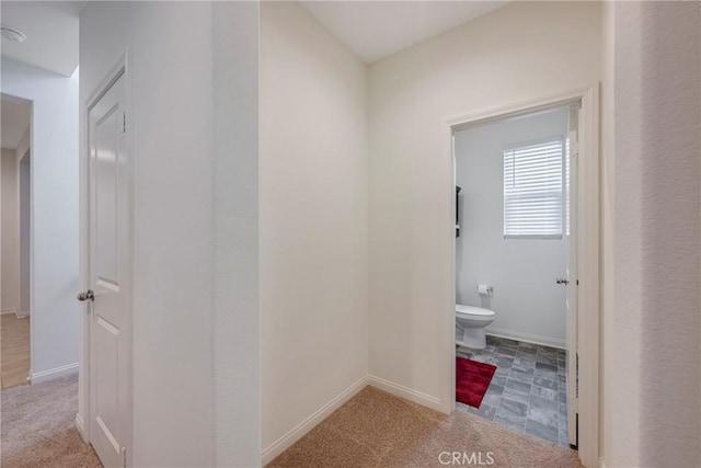 hall featuring baseboards and carpet