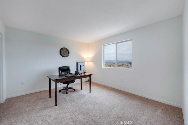 office space featuring carpet flooring and baseboards