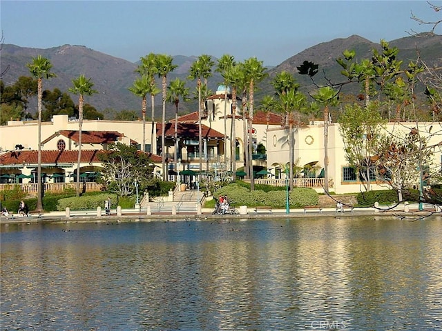 32171 Mill Stream Rd, Rancho Santa Margarita, CA 92679 - photo 53
