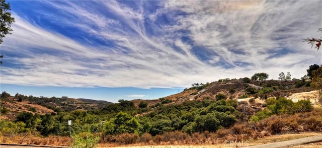 32171 Mill Stream Rd, Rancho Santa Margarita, CA 92679 - photo 52