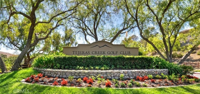 32171 Mill Stream Rd, Rancho Santa Margarita, CA 92679 - photo 56