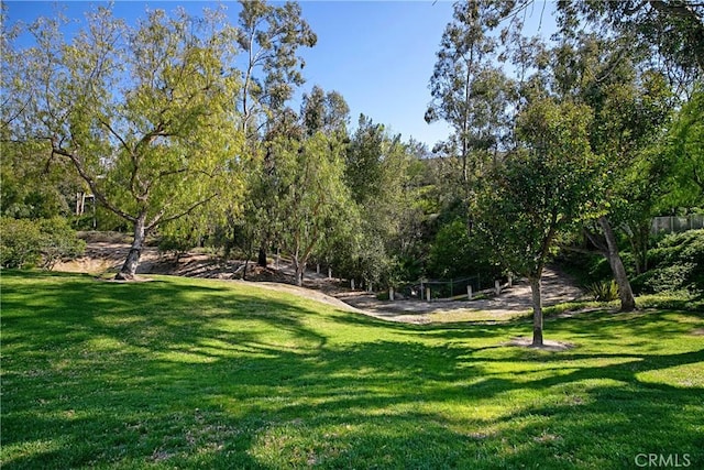 32171 Mill Stream Rd, Rancho Santa Margarita, CA 92679 - photo 50