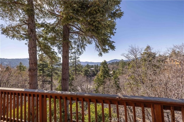 43674 Yosemite Dr, Big Bear Lake, CA 92315 - photo 10