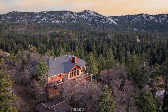 43674 Yosemite Dr, Big Bear Lake, CA 92315 - photo 6