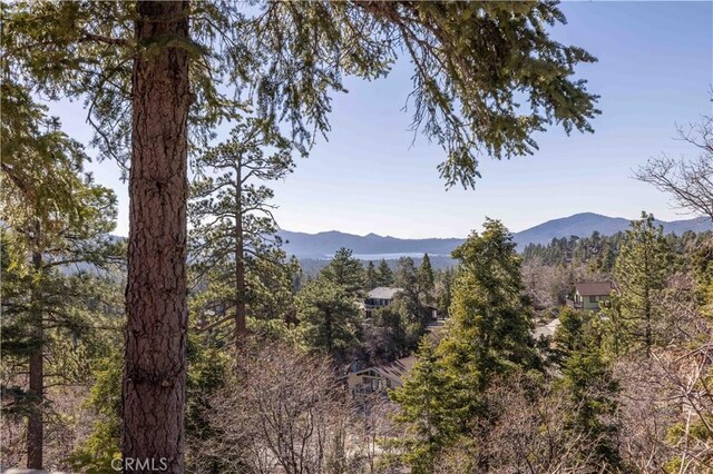 43674 Yosemite Dr, Big Bear Lake, CA 92315 - photo 9