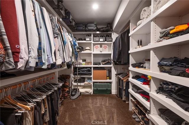 spacious closet with carpet