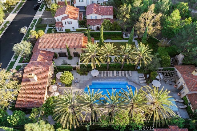 bird's eye view