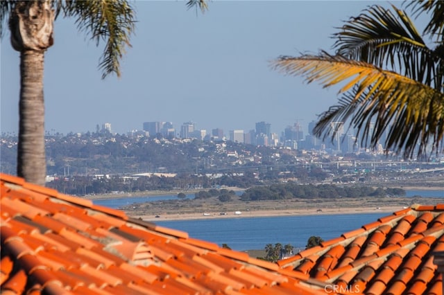 1624 Malden St, San Diego, CA 92109 - water view with nearby urban area