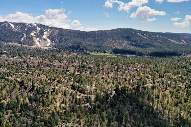 0 Villa Grove Ave, Big Bear City, CA 92314 - photo 31