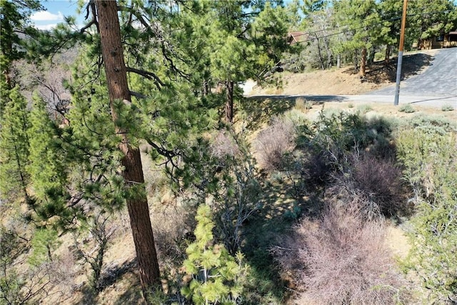 0 Villa Grove Ave, Big Bear City, CA 92314 - photo 26
