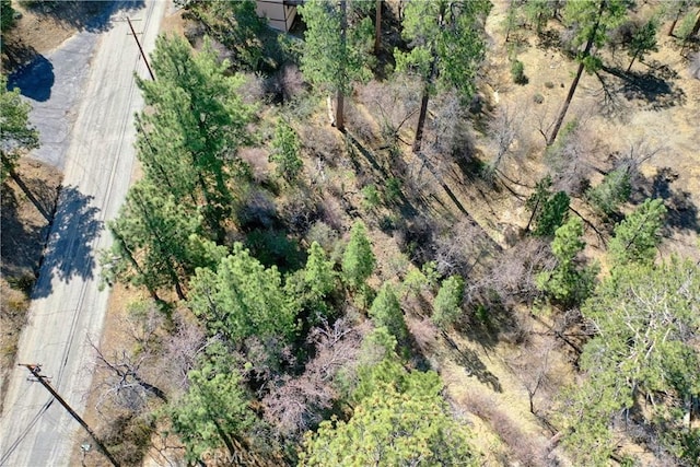 0 Villa Grove Ave, Big Bear City, CA 92314 - photo 11