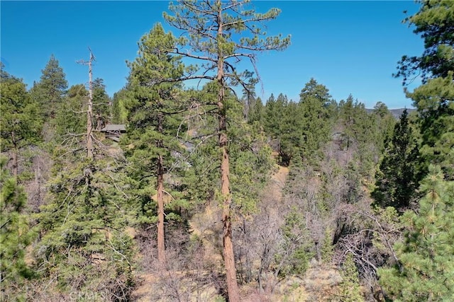 0 Villa Grove Ave, Big Bear City, CA 92314 - photo 17