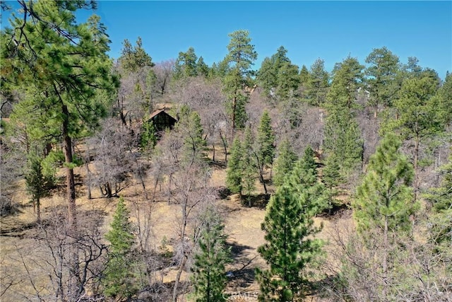 0 Villa Grove Ave, Big Bear City, CA 92314 - photo 24