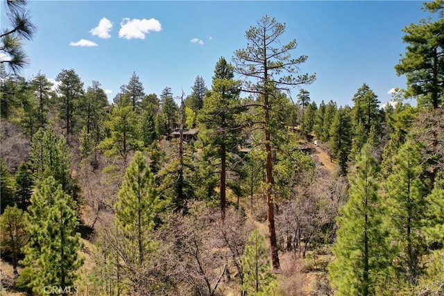 0 Villa Grove Ave, Big Bear City, CA 92314 - photo 27