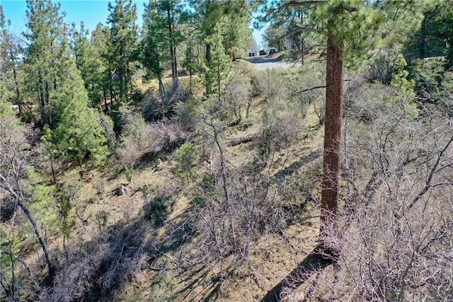0 Villa Grove Ave, Big Bear City, CA 92314 - photo 23