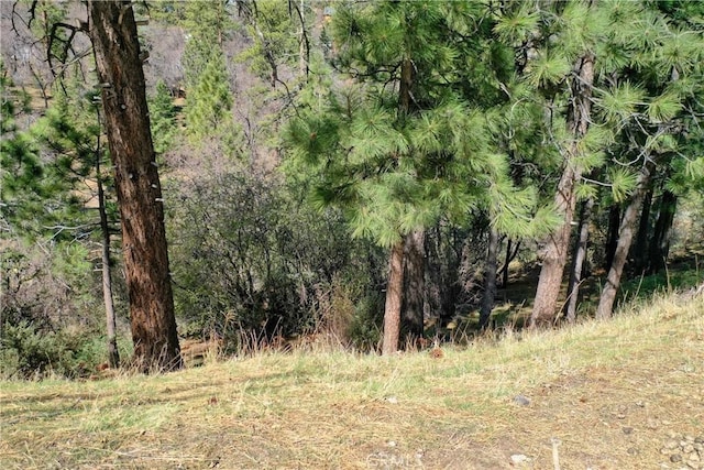 0 Villa Grove Ave, Big Bear City, CA 92314 - photo 18