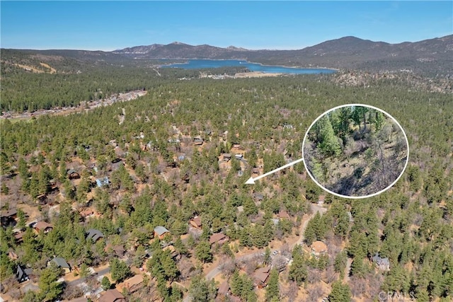 0 Villa Grove Ave, Big Bear City, CA 92314 - photo 9