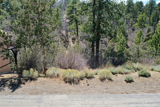 0 Villa Grove Ave, Big Bear City, CA 92314 - photo 4