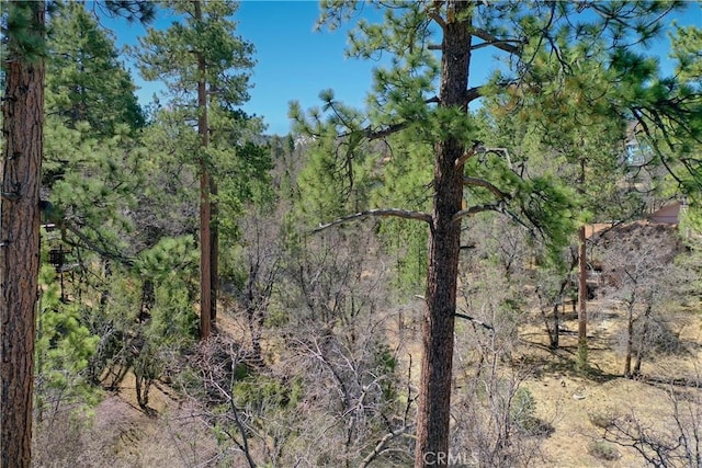 0 Villa Grove Ave, Big Bear City, CA 92314 - photo 19