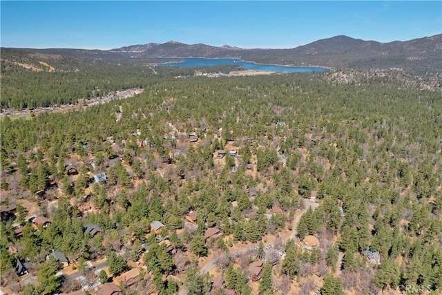 0 Villa Grove Ave, Big Bear City, CA 92314 - photo 16